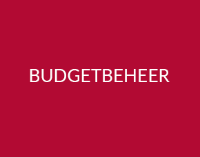 Budgetbeheer